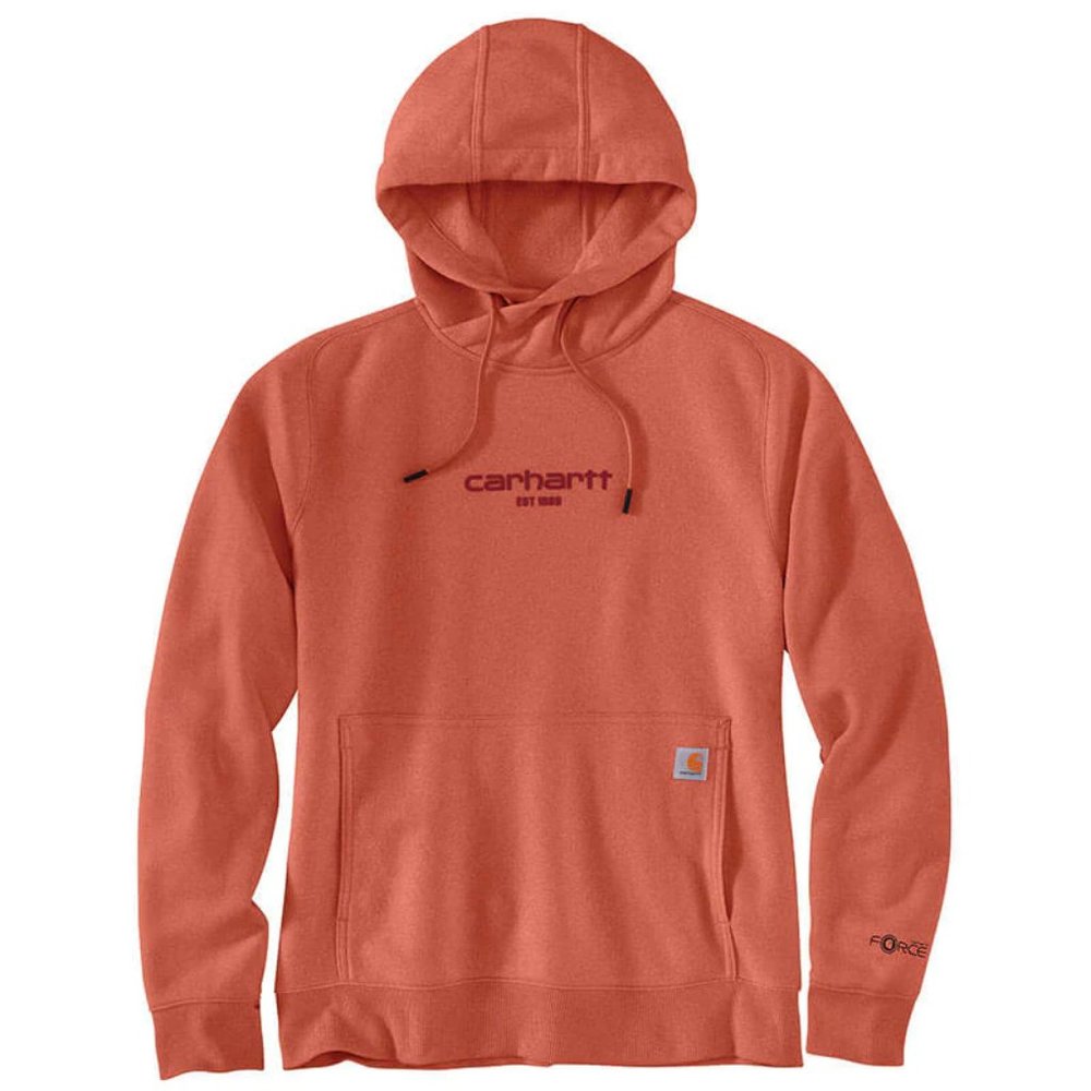 Carhartt 105573 Force® Relaxed Fit Lightweight Graphic Hoodie 297sn - Picture 2 of 5